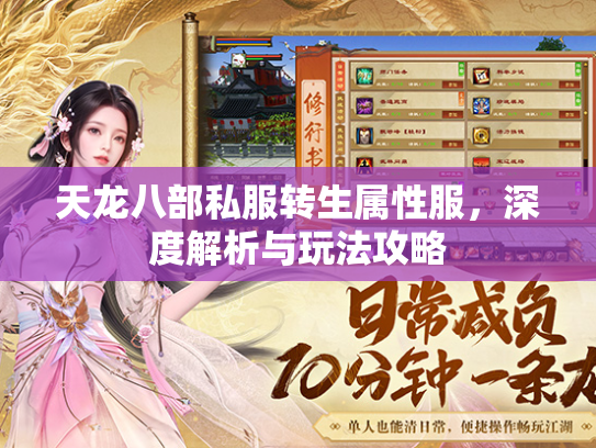 天龙八部私服转生属性服，深度解析与玩法攻略