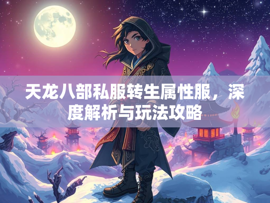 天龙八部私服转生属性服，深度解析与玩法攻略