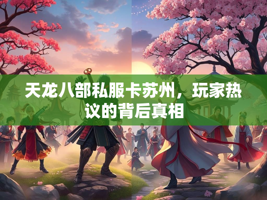 天龙八部私服卡苏州，玩家热议的背后真相