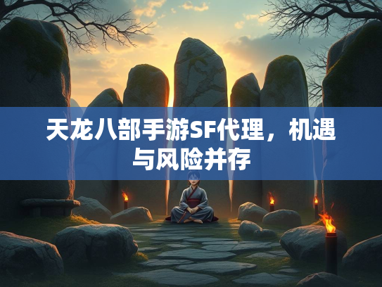 天龙八部手游SF代理，机遇与风险并存  第4张
