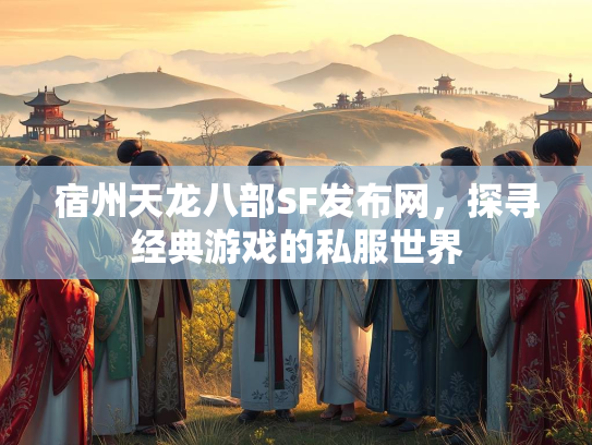 宿州天龙八部SF发布网，探寻经典游戏的私服世界  第2张