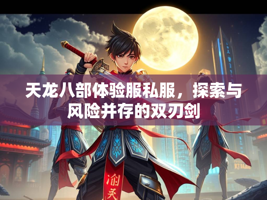 天龙八部体验服私服，探索与风险并存的双刃剑  第3张