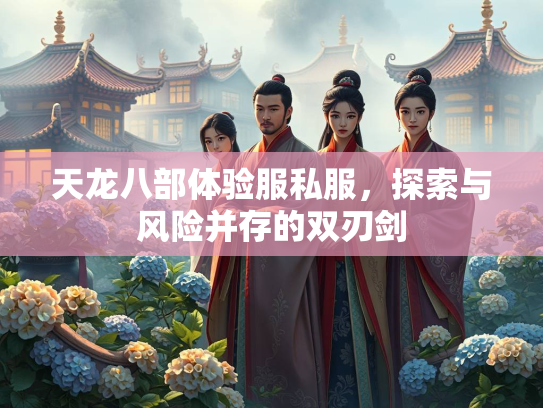天龙八部体验服私服，探索与风险并存的部体并存双刃剑  第1张