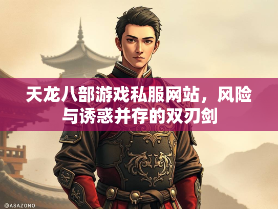 天龙八部游戏私服网站，风险与诱惑并存的双刃剑  第2张