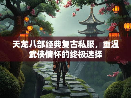 天龙八部经典复古私服，重温武侠情怀的终极选择  第1张