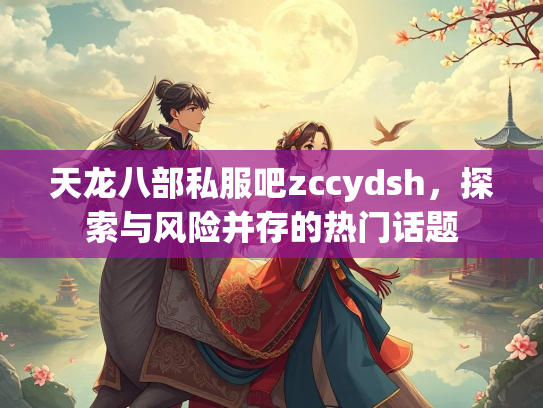 天龙八部私服吧zccydsh，探索与风险并存的热门话题  第2张