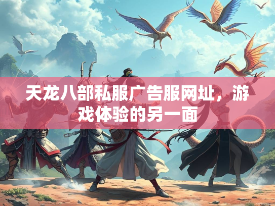 天龙八部私服广告服网址，游戏体验的另一面  第2张