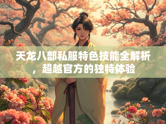 天龙八部私服特色技能全解析，超越官方的部私独特体验  第1张