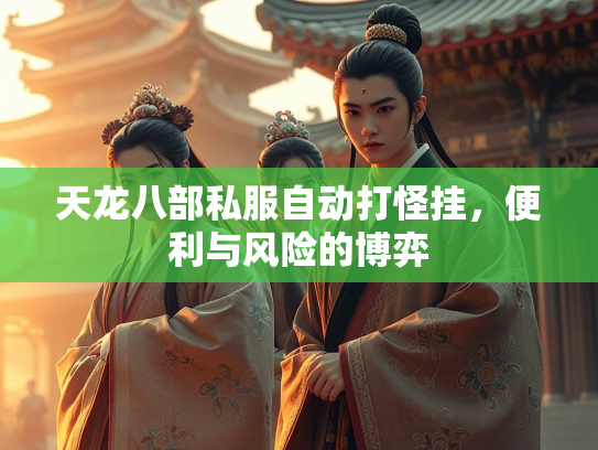 天龙八部私服自动打怪挂，便利与风险的博弈  第3张