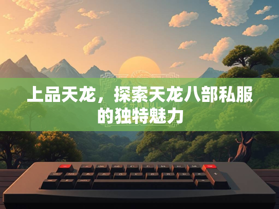 上品天龙，探索天龙八部私服的独特魅力  第3张