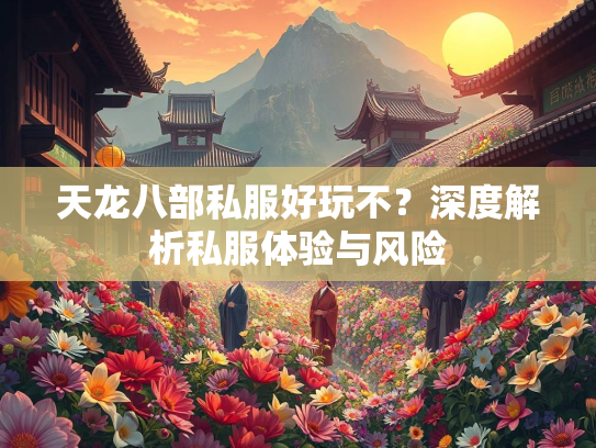天龙八部私服好玩不？深度解析私服体验与风险