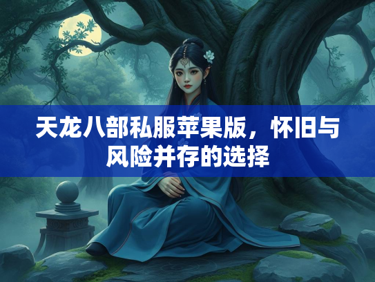 天龙八部私服苹果版，怀旧与风险并存的选择