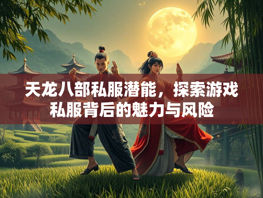 天龙八部私服潜能，探索游戏私服背后的魅力与风险  第2张