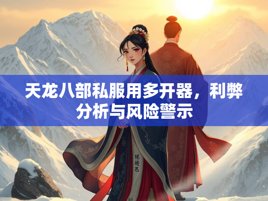 天龙八部私服用多开器，利弊分析与风险警示