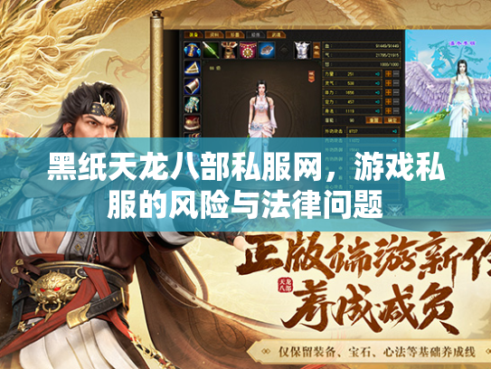黑纸天龙八部私服网，游戏私服的风险与法律问题  第2张