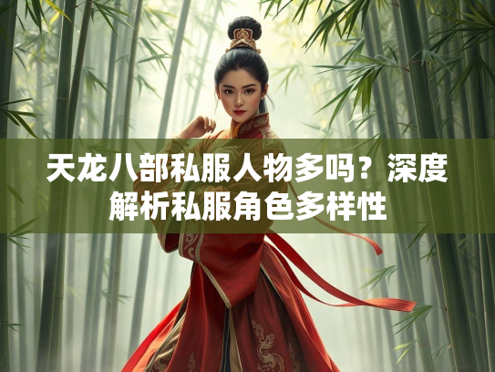 天龙八部私服人物多吗？深度解析私服角色多样性  第1张