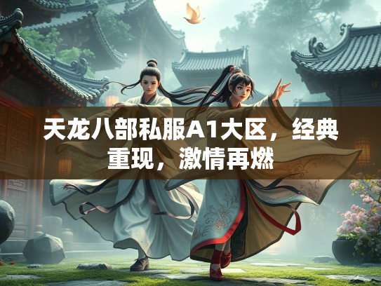 天龙八部私服A1大区，经典重现，激情再燃  第1张