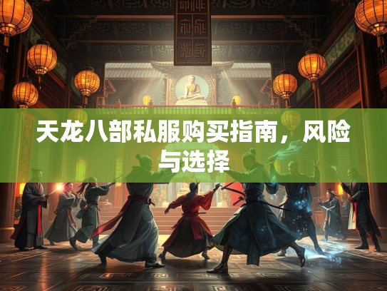天龙八部私服购买指南，风险与选择  第2张