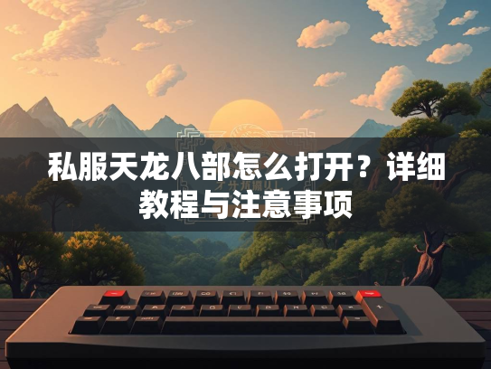 私服天龙八部怎么打开？详细教程与注意事项