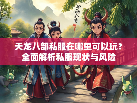 天龙八部私服在哪里可以玩？全面解析私服现状与风险  第2张