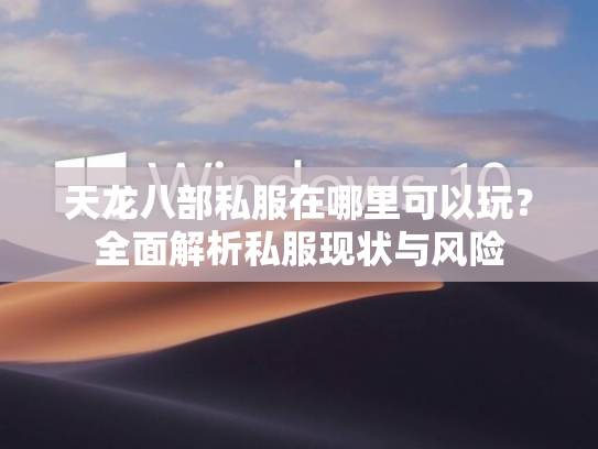 天龙八部私服在哪里可以玩？全面解析私服现状与风险  第3张