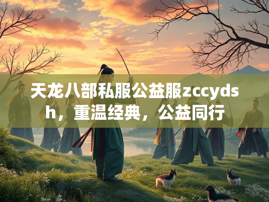 天龙八部私服公益服zccydsh，重温经典，公益同行