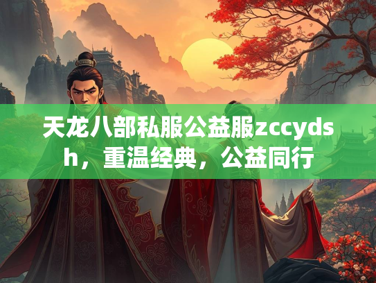 天龙八部私服公益服zccydsh，重温经典，公益同行