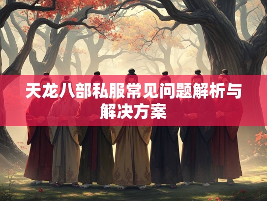 天龙八部私服常见问题解析与解决方案