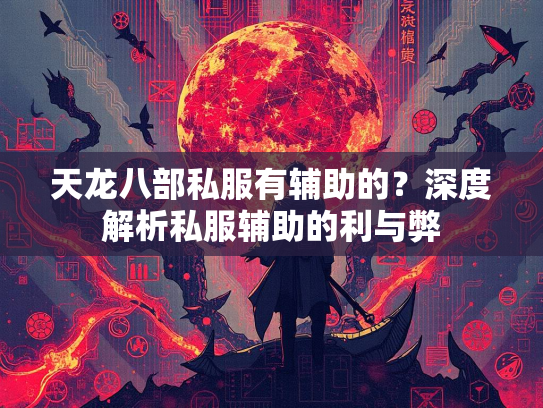 天龙八部私服有辅助的？深度解析私服辅助的利与弊  第2张