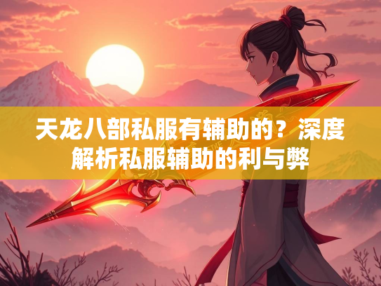 天龙八部私服有辅助的？深度解析私服辅助的利与弊  第3张