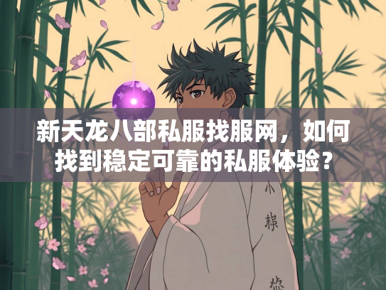 新天龙八部私服找服网，如何找到稳定可靠的私服体验？