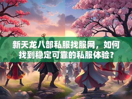 新天龙八部私服找服网，如何找到稳定可靠的私服体验？  第4张