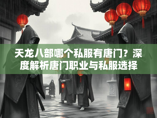 天龙八部哪个私服有唐门？深度解析唐门职业与私服选择  第1张