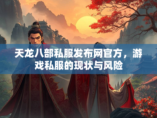 天龙八部私服发布网官方，游戏私服的现状与风险  第4张