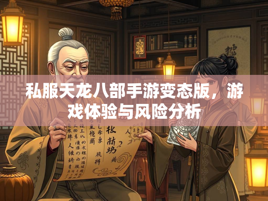 私服天龙八部手游变态版，游戏体验与风险分析  第3张