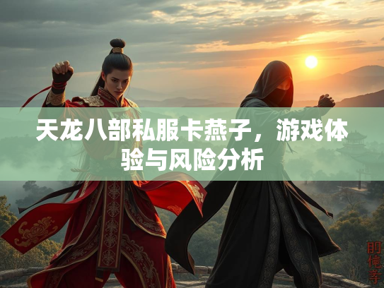 天龙八部私服卡燕子，游戏体验与风险分析