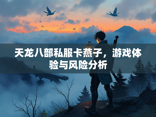 天龙八部私服卡燕子，游戏体验与风险分析