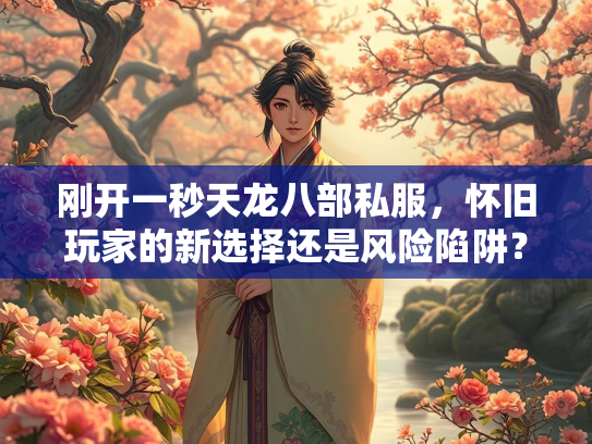 刚开一秒天龙八部私服，怀旧玩家的新选择还是风险陷阱？  第3张
