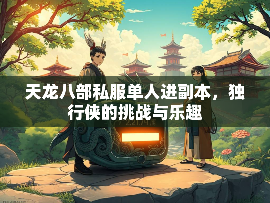 天龙八部私服单人进副本，独行侠的挑战与乐趣  第3张