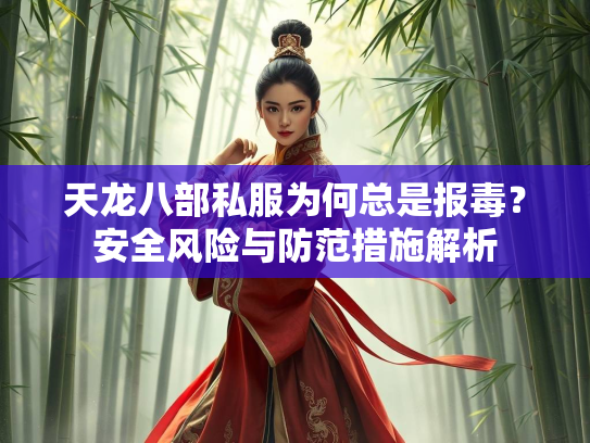 天龙八部私服为何总是报毒？安全风险与防范措施解析  第2张