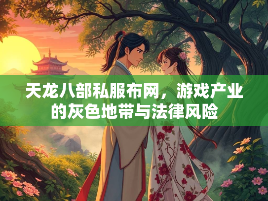 天龙八部私服布网，游戏产业的灰色地带与法律风险  第4张