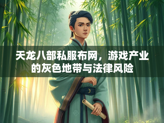 天龙八部私服布网，游戏产业的服布法律风险灰色地带与法律风险  第1张