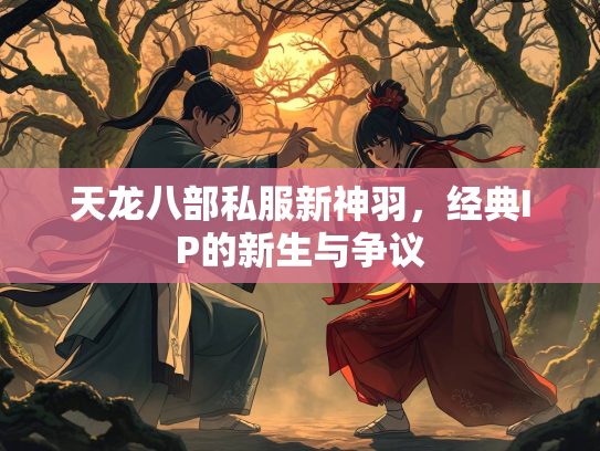 天龙八部私服新神羽，经典IP的新生与争议  第1张