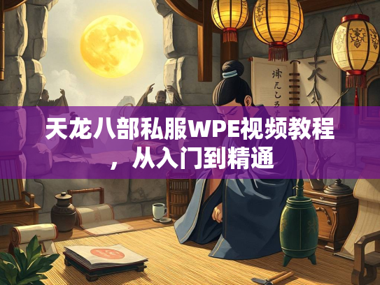 天龙八部私服WPE视频教程，从入门到精通