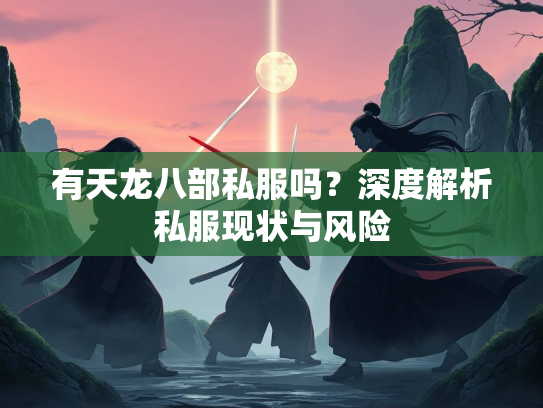 有天龙八部私服吗？深度解析私服现状与风险  第3张