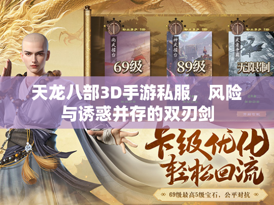 天龙八部3D手游私服，风险与诱惑并存的双刃剑  第3张