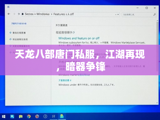 天龙八部唐门私服，江湖再现，暗器争锋  第4张