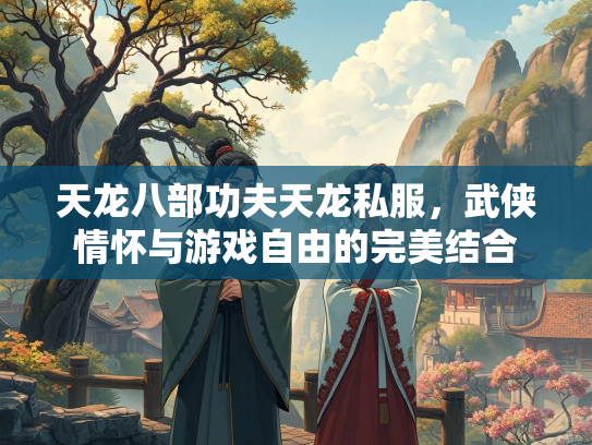 天龙八部功夫天龙私服，武侠情怀与游戏自由的完美结合  第3张