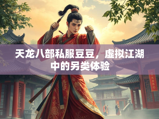 天龙八部私服豆豆，虚拟江湖中的另类体验  第4张