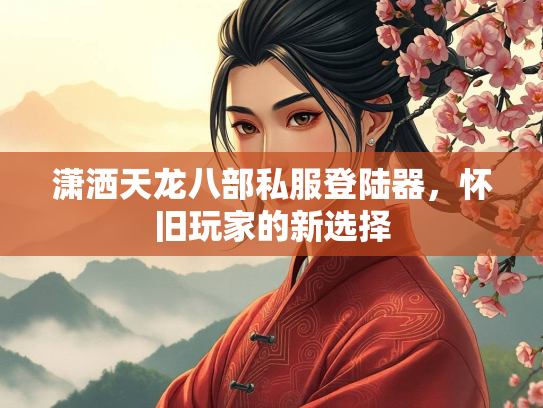 潇洒天龙八部私服登陆器，怀旧玩家的新选择